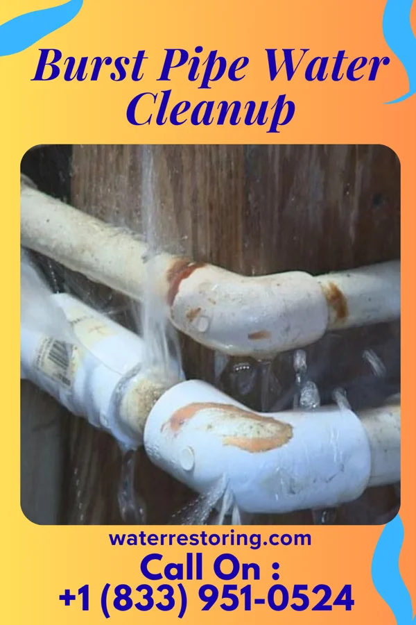 Burst Pipe Water Cleanup in Coffeen, IL
