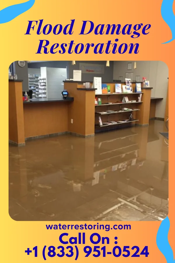 Flood Damage Restoration in Coffeen, IL