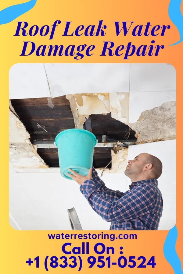 Roof Leak Water Damage Repair in Coffeen, IL